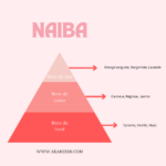 Huile de Corps Naiba – Image 2
