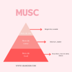 Huile de Corps Musc – Image 2